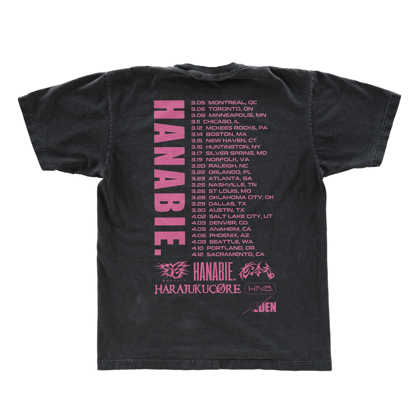 2025 North American Tour Tee