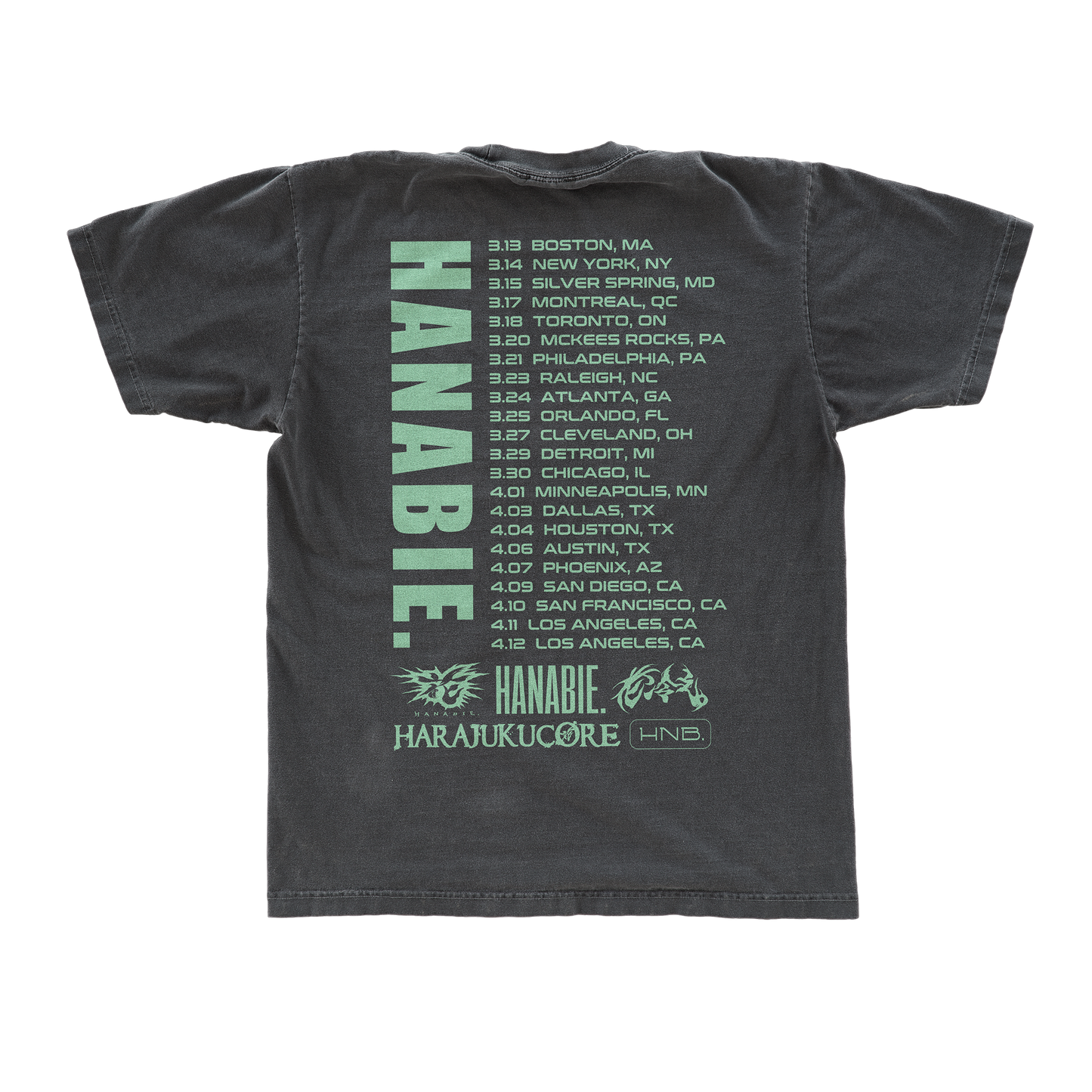 2026 Rabbit Tour Tee