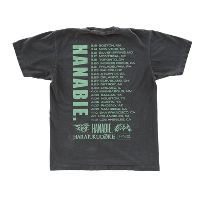 2026 Rabbit Tour Tee